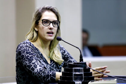  Janaina Riva se destaca no 1º semestre de 2016 por produção legislativa e lutas na tribuna