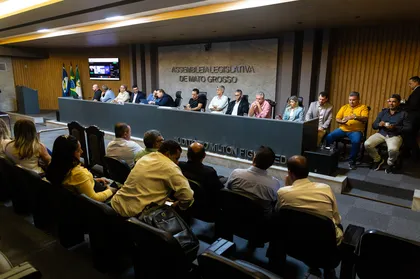 Audiência na ALMT discute proposta de acordo sobre áreas de divisa entre Mato Grosso e Pará