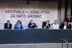 Audiência pública debate conciliação do STF Divisa MT-PA