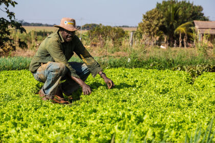 Produtores apontam problemas na agricultura familiar em Tangará da Serra