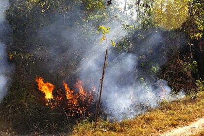 Incêndio ocorrido no Pantanal de MT é o maior dos últimos 14 anos