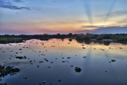 Além da planície amazônica, Mato Grosso também sedia o bioma Pantanal em seu terrritório