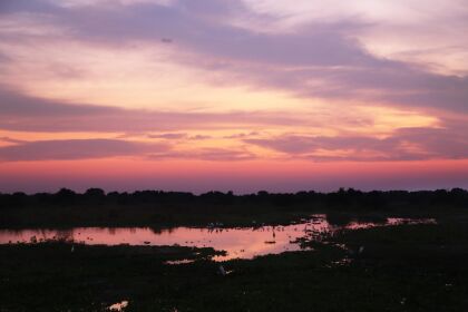 Guilherme Maluf apresenta projeto para proteger as baías do Pantanal