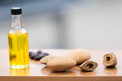 ALMT instala CST para  fortalecer cadeia produtiva do baru