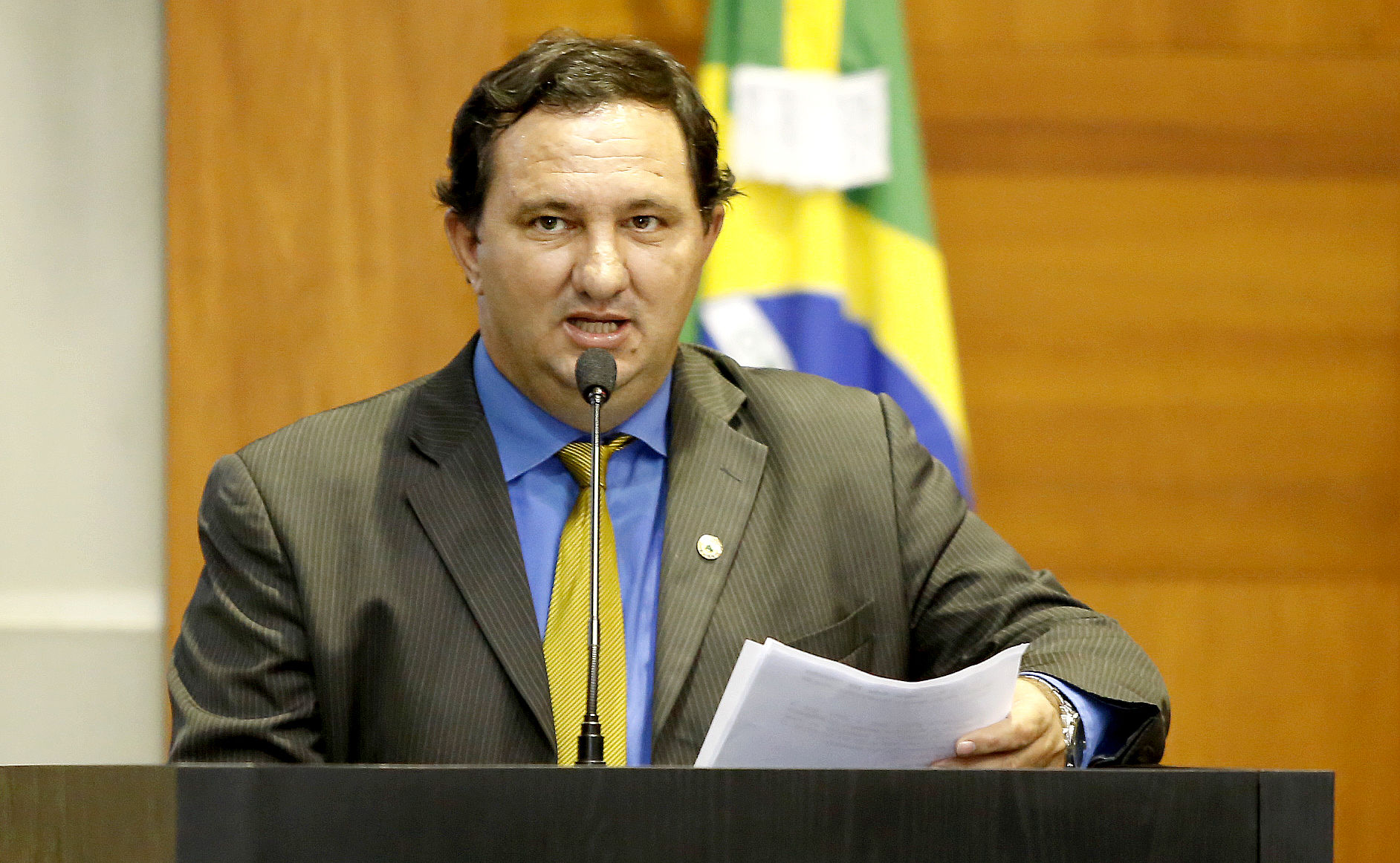 Assembleia Legislativa Do Estado De Mato Grosso!