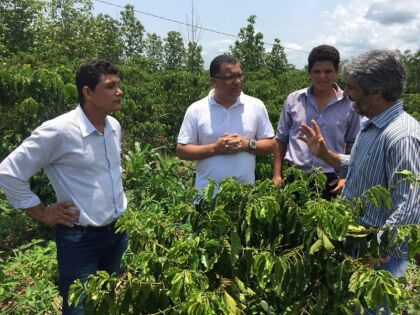 Silvano destina meio milhão para o ‘Pró-Café’; projeto começa este ano