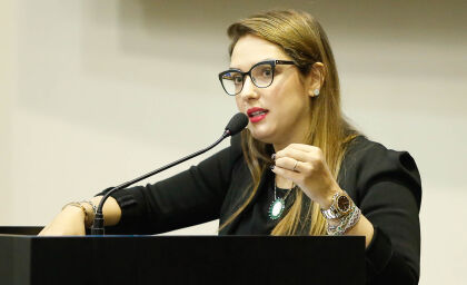 Deputada visita seis municípios para debater PEC do Teto