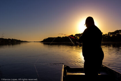 Cota zero para pesca nos rios de Mato Grosso será discutida em audiência pública na ALMT