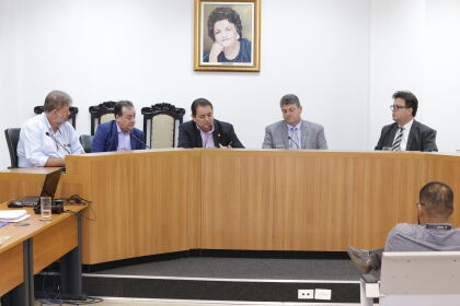Assembleia Legislativa irá apresentar atualização nos trinta anos da Constituição de Mato Grosso