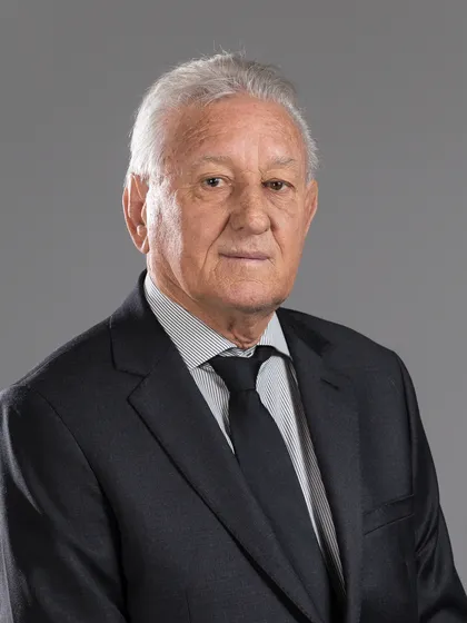 Foto do parlamentar SATURNINO MASSON