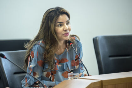 A defensora pública Maria Luziane Ribeiro frisou que a Defensoria de Mato Grosso é grande parceira das organizações e quer incentivar o fortalecimento da 'corrente do bem'