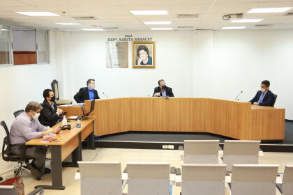 Reunião Remota da Comissão Especial para Revisão do Regimento