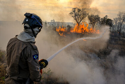 Lúdio Cabral cobra que governo federal atue no combate aos incêndios no Pantanal