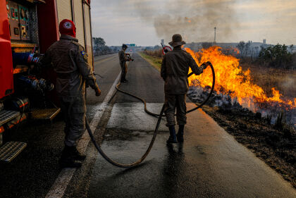 Deputado pede que brigadistas de todos os estados atuem no combate às queimadas no Pantanal
