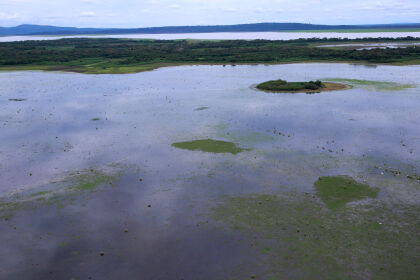 Deputado defende política estadual de proteção das baías do Pantanal