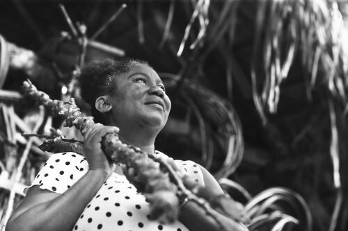 Fotografia: IMG_1551.jpg