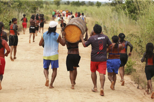 Fotografia: site36.jpg