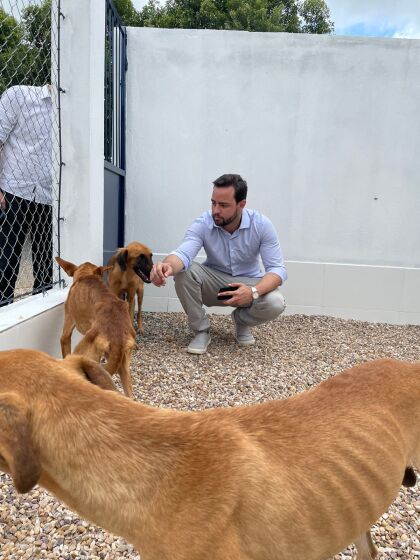 Ulysses Moraes faz resgate de três cães em situação de maus-tratos, no município de Sorriso