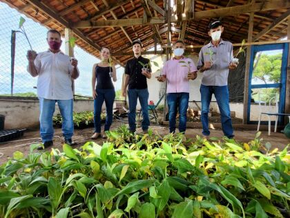 Entrega de mudas realizada em São José do Povo