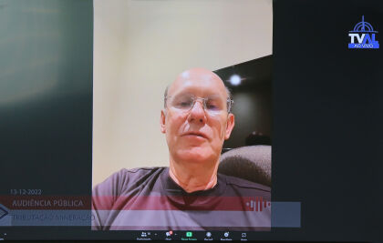 Para o deputado Carlos Avallone, a lei não pode inviabilizar a vinda de novos investimentos para o setor, que passa por um processo de verticalização da produção