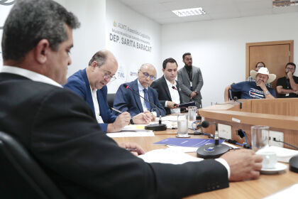 A única comissão permanente com atividades toda a semana é a de Constituição e Justiça e Redação, prevista para acontecer todas as terças-feiras.