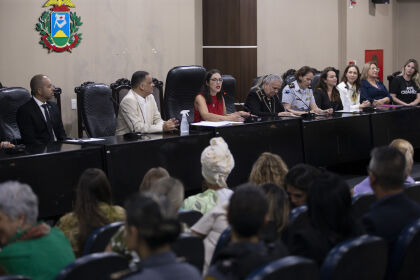 Audiência pública com o tema “Reflexões quanto a necessidade de um organismo de políticas para as mulheres em MT”