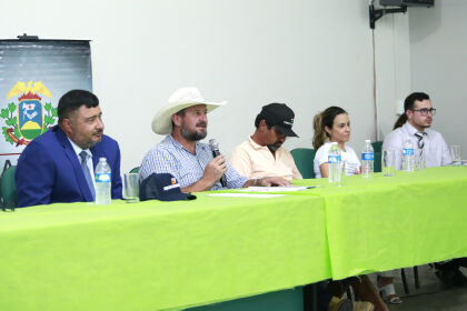 Audiência debate a saúde pública na região de Diamantino