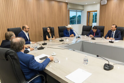 Deputados recebem Leonardo Albuquerque, chefe do escritório de representação de Mato Grosso em Brasília.