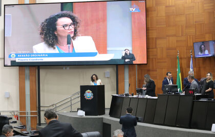 O PL foi aprovado de forma unânime