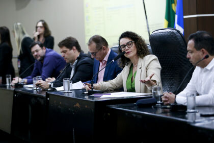 Requerente da audiência, a deputada estadual em exercício Sheila Klener (PSDB) defende que é preciso chamar atenção para o potencial mineral de Mato Grosso