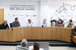Comissão discute planejamento para combater incêndios no Pantanal