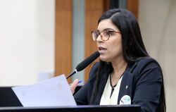 Sandy de Paula indica a construção e implantação de uma Delegacia Especializada de Defesa da Mulher, Criança e Idoso no município de Juara
