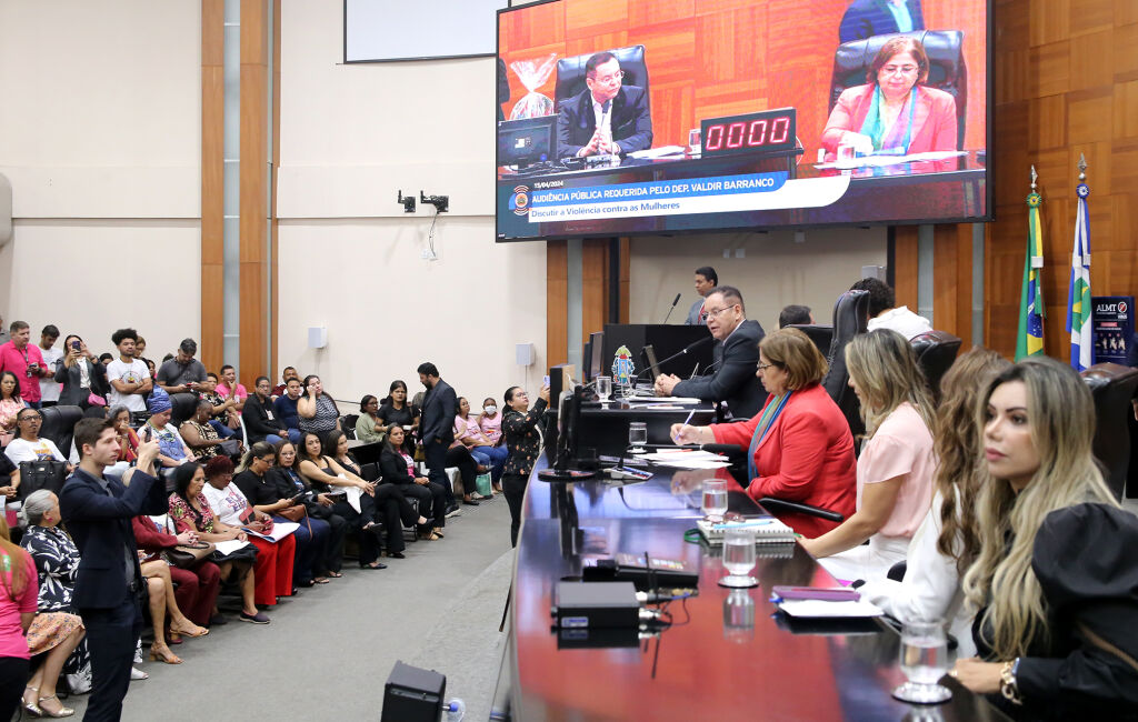 Audiência pública com ministra das Mulheres debate violência de gênero