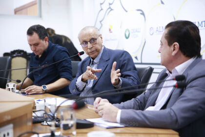 O presidente da CCJR destacou o trabalho técnico da análise dos vetos