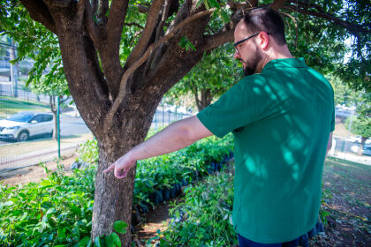 Savioli lembrou que as temperaturas mais amenas só serão possíveis com a volta da vegetação nas zonas urbanas