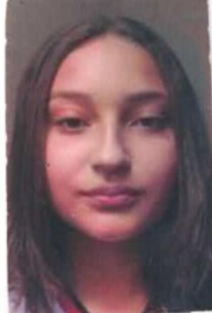 ANA LUIZA CHIREIA CAMPOS