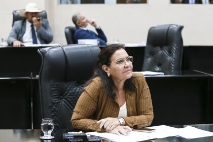 Deputada Marildes Ferreira apresentou a proposta durante sessão desta quarta-feira (26)