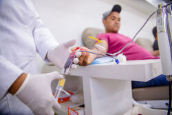 ALMT reforça alerta do Fevereiro Laranja sobre prevenção e diagnóstico da leucemia