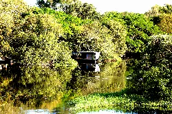 Relatório propõe novas regras para definição de áreas de reserva legal em MT