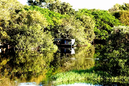 Foto: Luiz Alves/ALMT