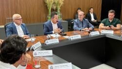 Avallone destaca importância da prorrogação do Proalmat até 2032