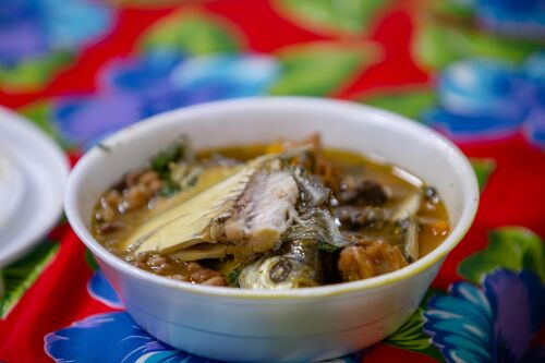 Fotografia: Gilberto Leite ALMT _7_.jpg