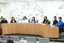 ALMT realiza 1ª reunião da Câmara Setorial Temática da Saúde Indígena