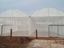 Com apoio de Juca do Guaraná, primeiro projeto de aquaponia em áreas rurais de MT será entregue ainda em outubro