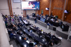 Aneel vai analisar aprimoramento de serviços da distribuidora durante processo de concessão