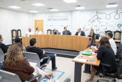 Comissão de Indústria, Comércio e Turismo