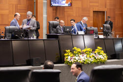 Sessão Plenária Ordinária