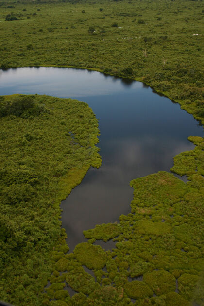O projeto de lei federal 337/22, que tramita na Câmara dos Deputados e trata da exclusão do Estado de Mato Grosso da área da Amazônia Legal, é um dos temas que está em discussão na ALMT