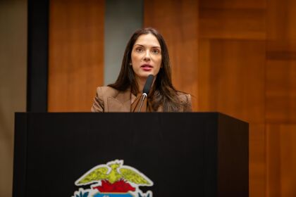 Deputada estadual Janaina Riva (MDB).