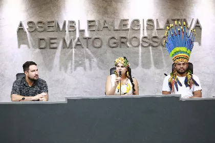 Reunião da CST da Saúde Indígena, na ALMT.